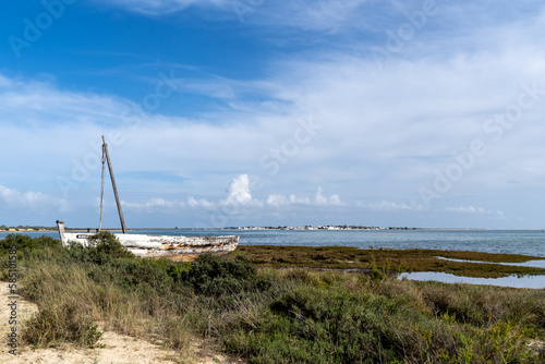 ship on shore