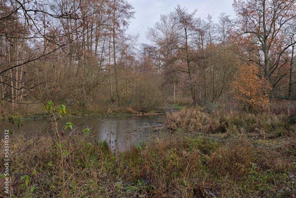 Germany outdoor travel no people Germany outdoor travel no people
