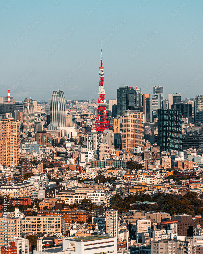 city skyline with the Tokyo Tower