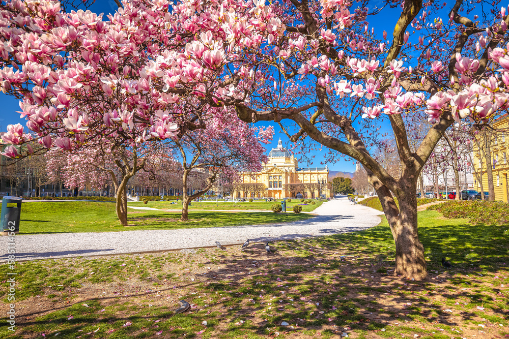 Naklejka premium King Tomislav square in Zagreb springtime magnolia blossom trees view, capital of Croatia