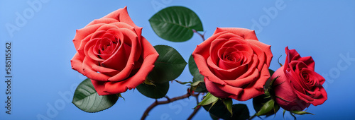 Illustration of a bouquet of red roses against a blue background created with Generative AI technology