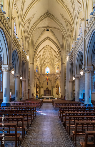 Neogothic style of the famous San Isidro Cathedral outside Buenos Aires in Argentina