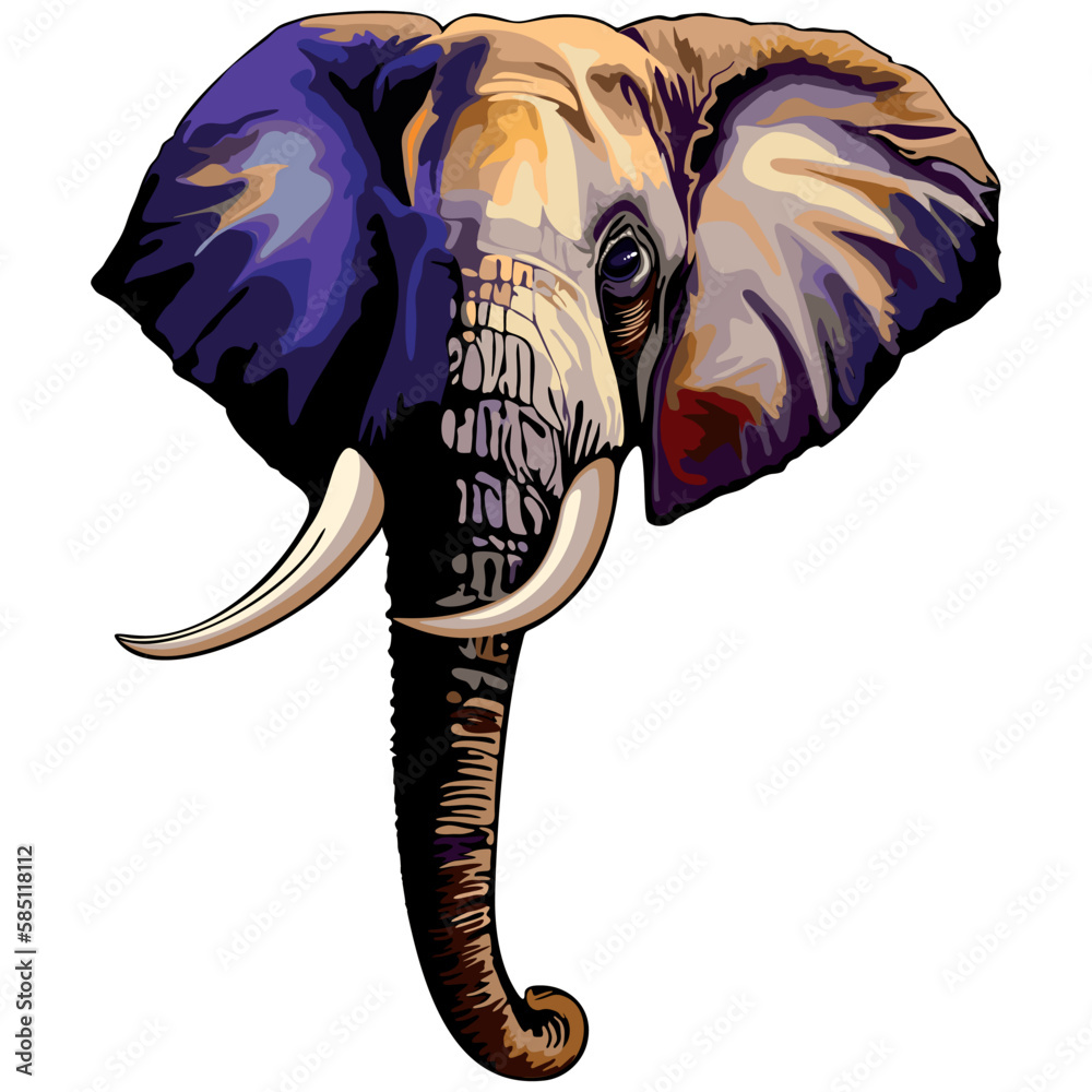 African Elephant Portrait Vector Illustration isolated on white Stock ...