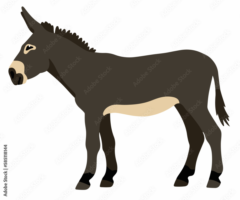 Gray donkey vector cartoon illustration isolated on white