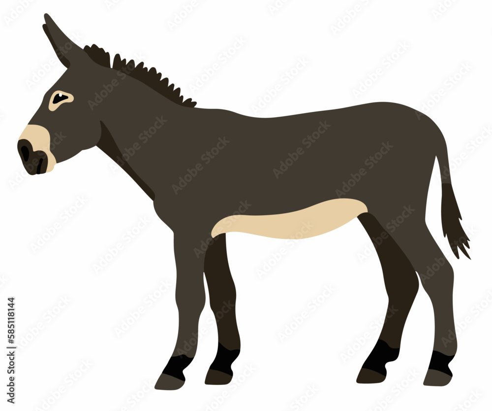 Fototapeta premium Gray donkey vector cartoon illustration isolated on white