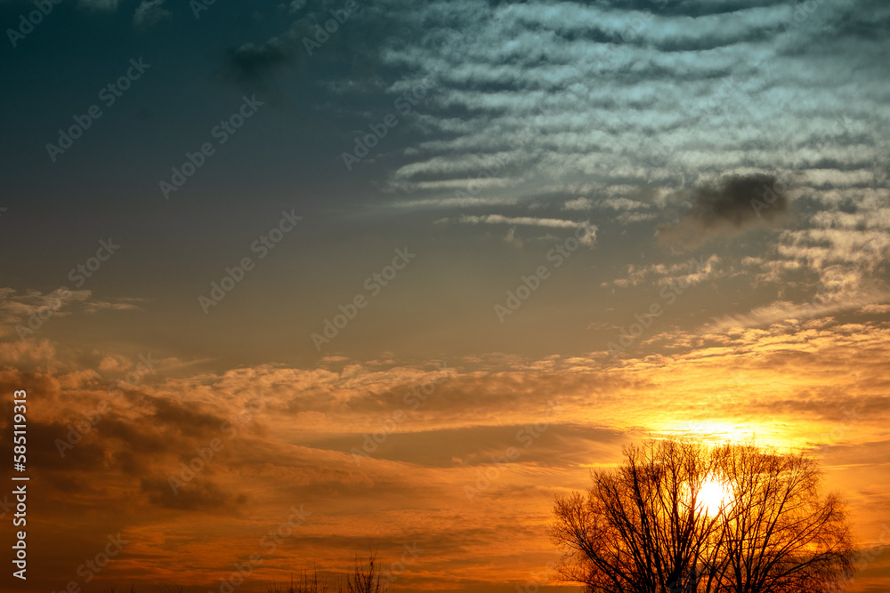 Obraz premium Beautiful orange sunset. Setting sun against the blue sky