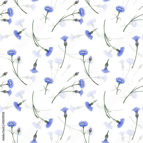 Seamless pattern blue wild flowers. Meadow cornflowers
