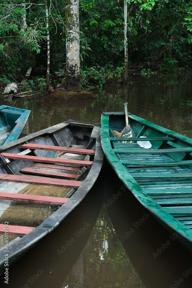 Amazon boats at Sandoval Lake in Amazonas Puerto Maldonado Peru. Wood boats on the water inside jungle rainforest. Selective focus. Amazon boats at Sandoval Lake in Amazonas Puerto Maldonado Peru. Wood boats on the water inside jungle rainforest. Selective focus.