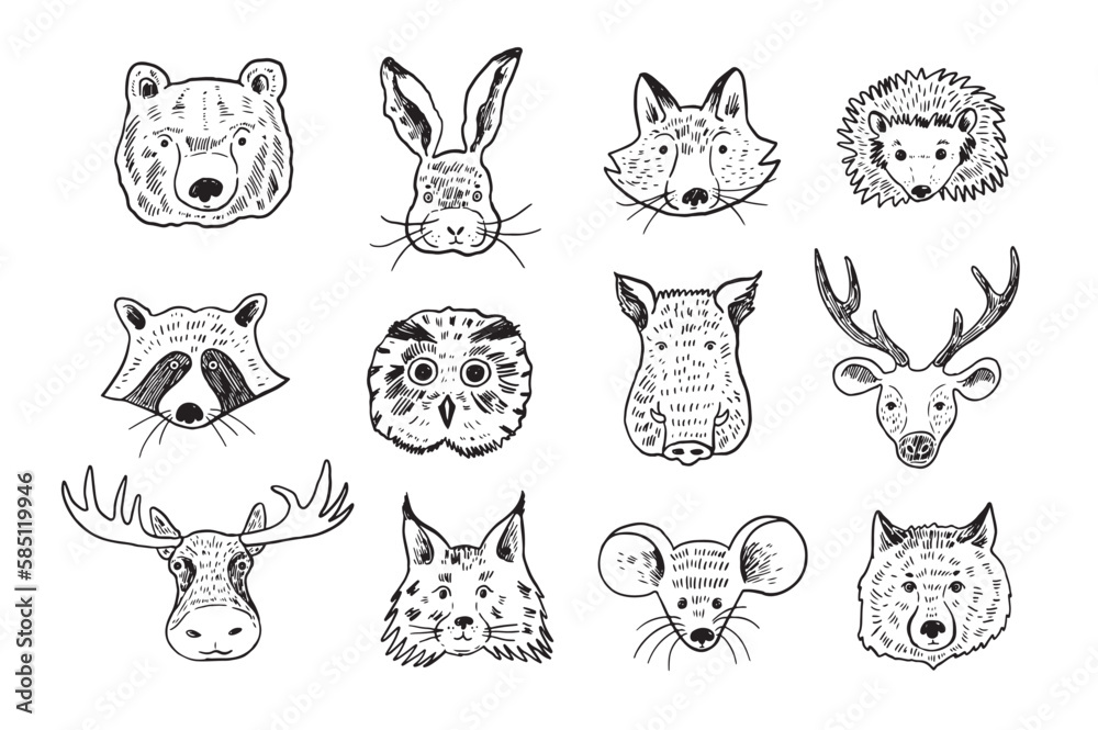 Fototapeta premium Forest animals face vector line illustrations set.
