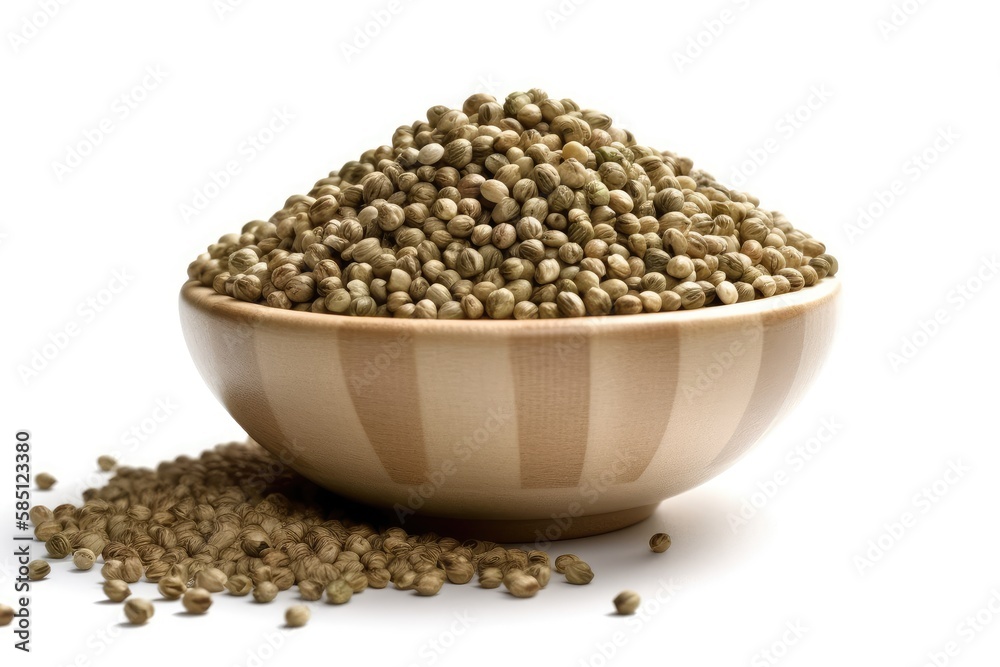 seeds isolated on white seeds isolated on white