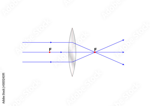 Convex Lens