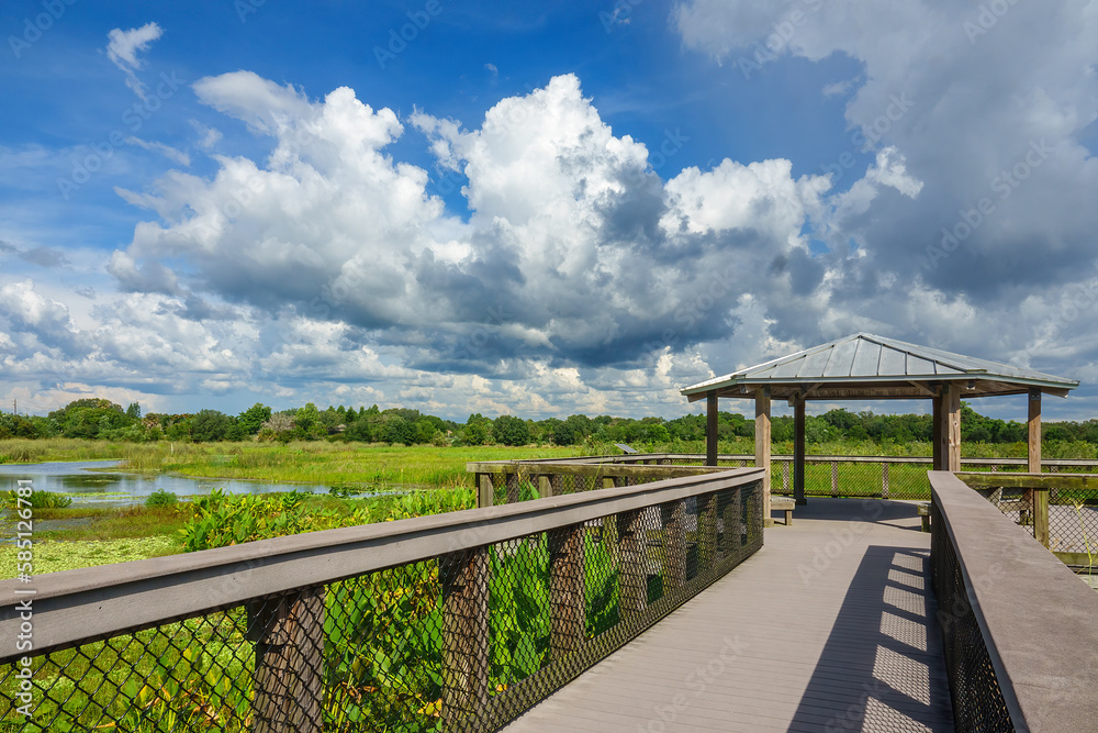 Observation platform at end of boardwalk over marshland with a creek in a nature preserve and flood mitigation area, part of the Great Florida Birding Trail, on a summer afternoon in Sarasota County Observation platform at end of boardwalk over marshland with a creek in a nature preserve and flood mitigation area, part of the Great Florida Birding Trail, on a summer afternoon in Sarasota County