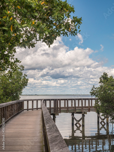 Scenic boardwalk curves between mangrove forest and shallows of Tampa Bay near a waterfront park in Safety Harbor, Florida, for motifs of nature, tourism, ecotourism © Kenneth
