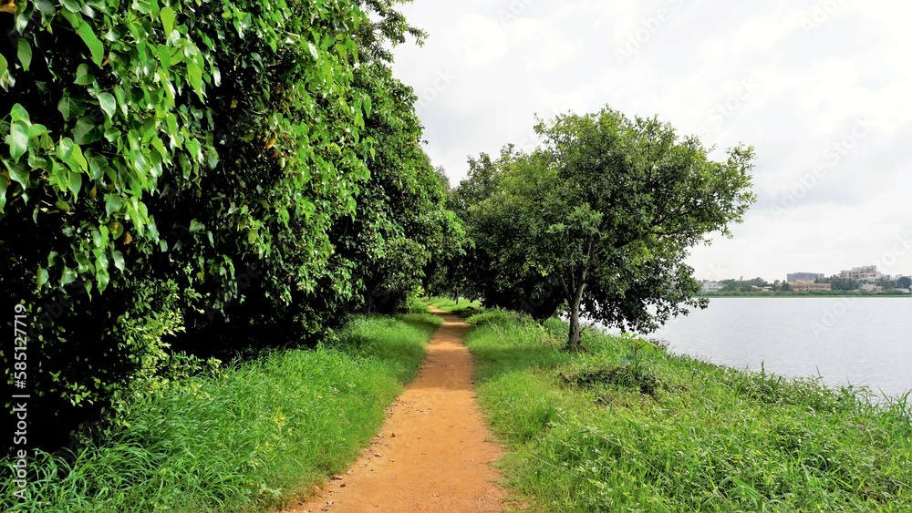Landscape Scenic Beautiful lush green cover walking lane lake view in BTM or Madiwala