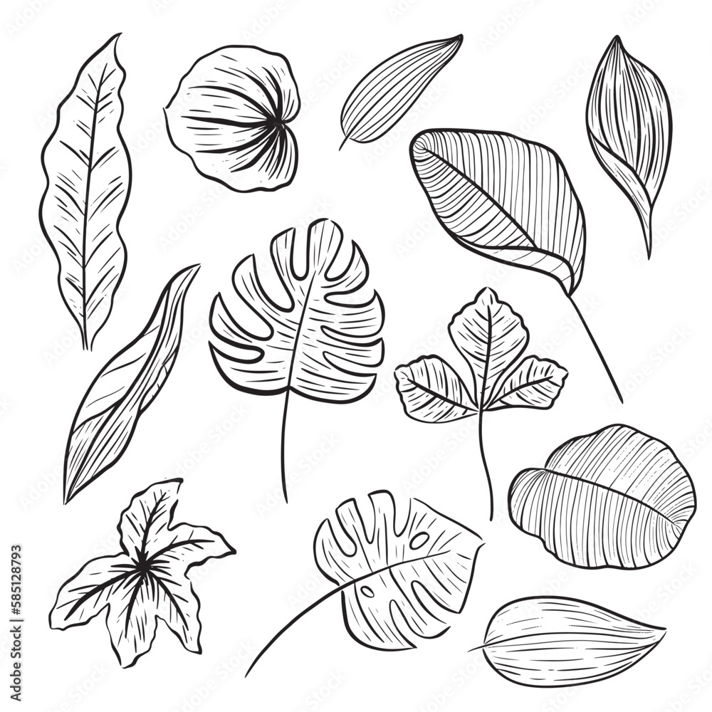 set of leaf hand drawn line doodle aesthetic decoration