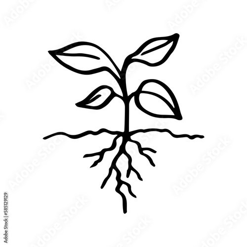 Seeding in doodle style isolated on white