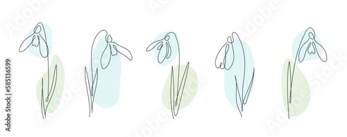 Set of spring snowdrop flower in continuous line art drawing style. Black linear sketch on white background. Vector illustration.