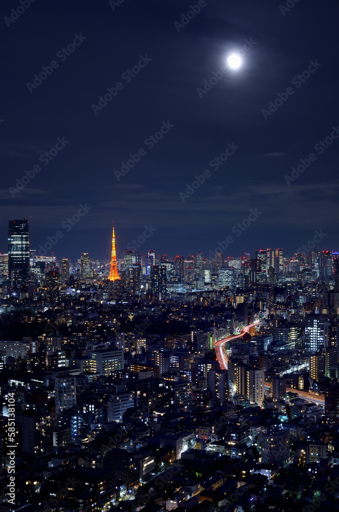 恵比寿ガーデンプレイスから見た東京タワーと都市の夜景