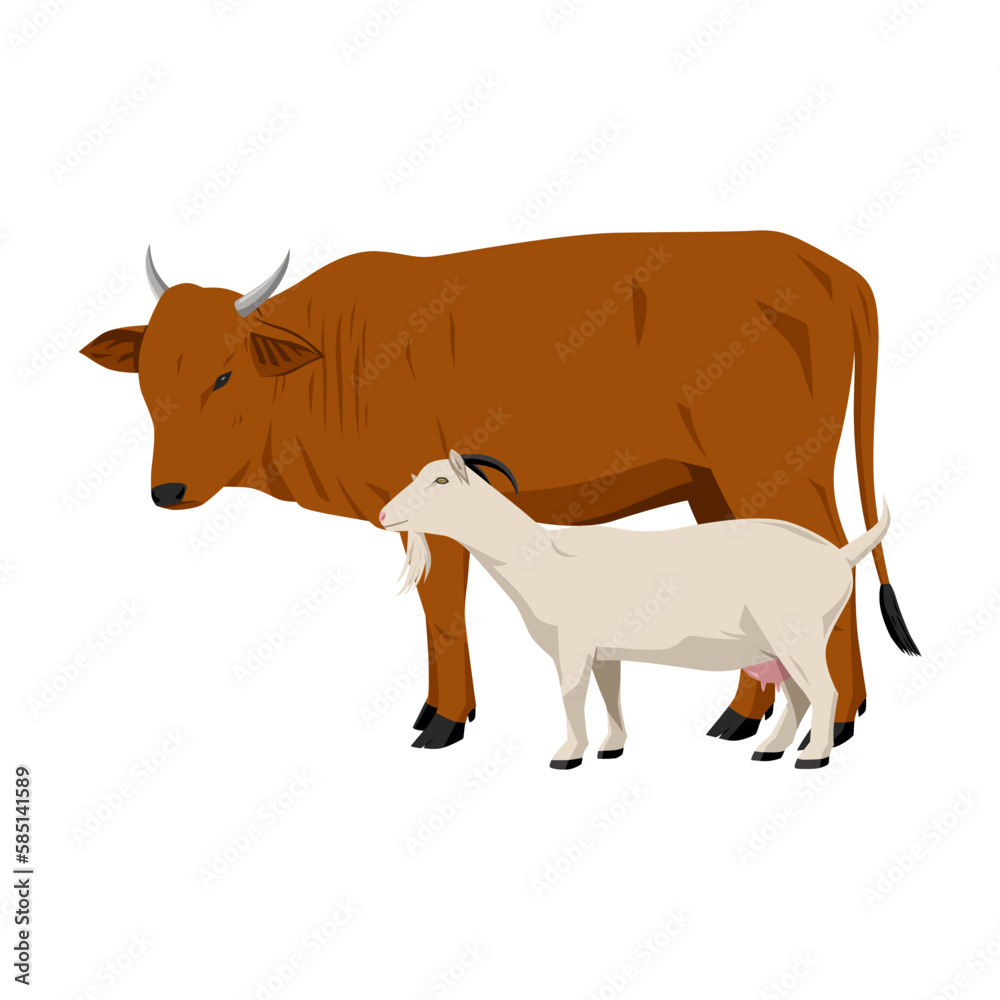 Cow and Goat vector illustration, animal cartoon