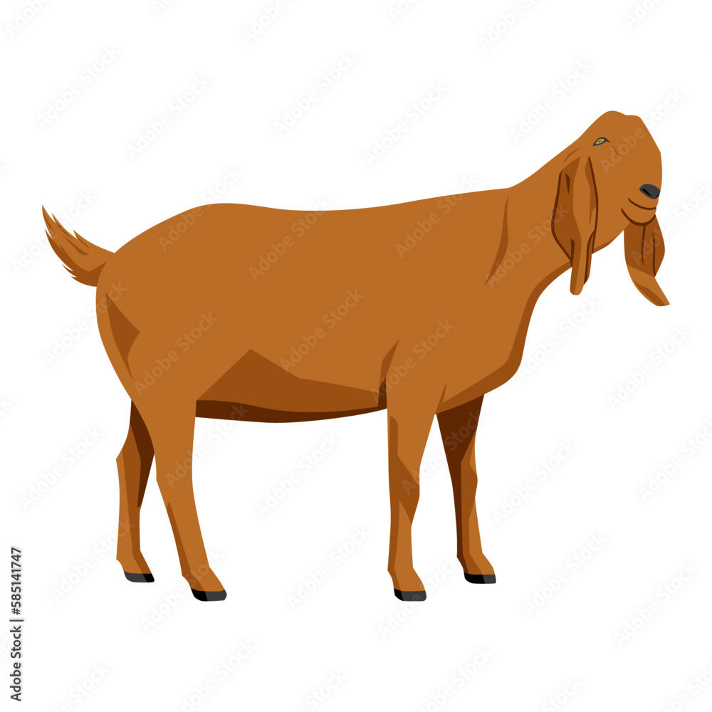 Goat vector illustration isolated on white background. Farm animal. Brown