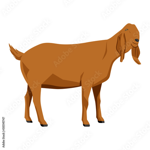 Goat vector illustration isolated on white background. Farm animal. Brown