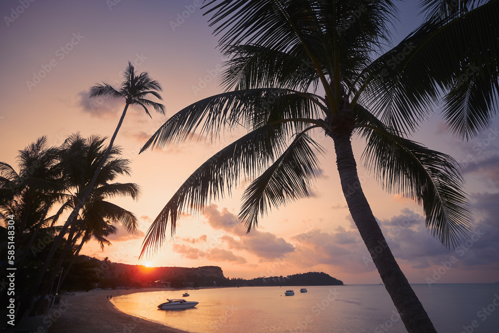 Silhouette palm trees against long sand beach at beautiful sunset in Koh Samui, Thailand..
