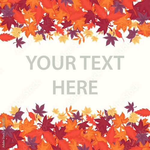 autumn leaves card background vector design