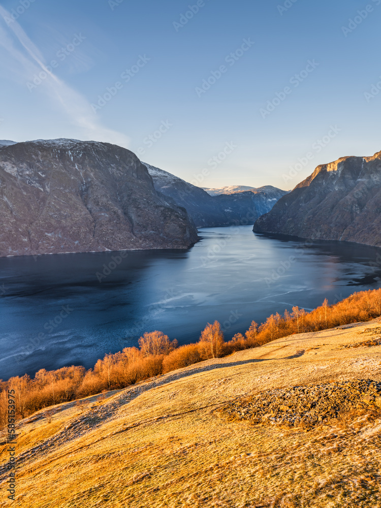 Aurlandsfjord, brown trees and yellow grass on mountain sunset during autumn season in Vestland, Sogn, Norway