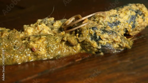 Feline roundworm writhes in cat vomit, close-up. photo