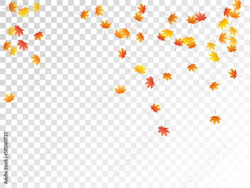 Maple leaves vector illustration, autumn foliage on transparent background.