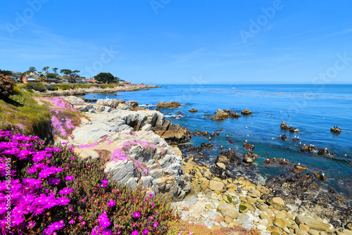 Photos Monterey Bay, California with flowers and rocky shoreline, USA