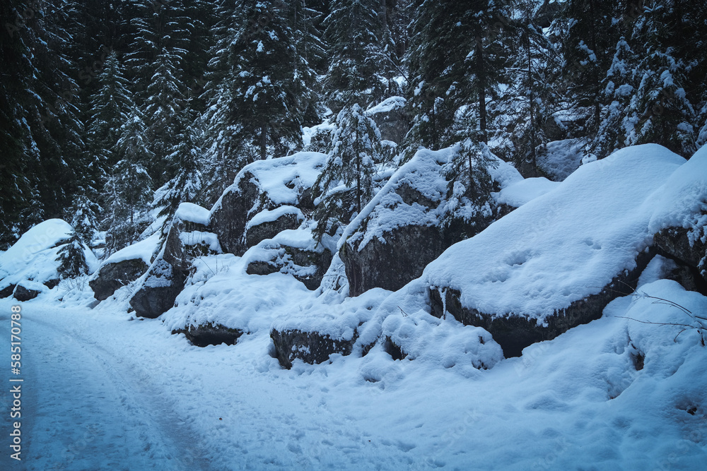 Rocks near Nardis waterfall in Val di Genova, Adamello-Brenta Natural Park in the northern Italy. January 2023 Rocks near Nardis waterfall in Val di Genova, Adamello-Brenta Natural Park in the northern Italy. January 2023