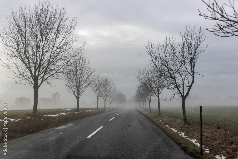 Fototapeta premium Winter view of a road in Orlicke hory mountains, Czech Republic