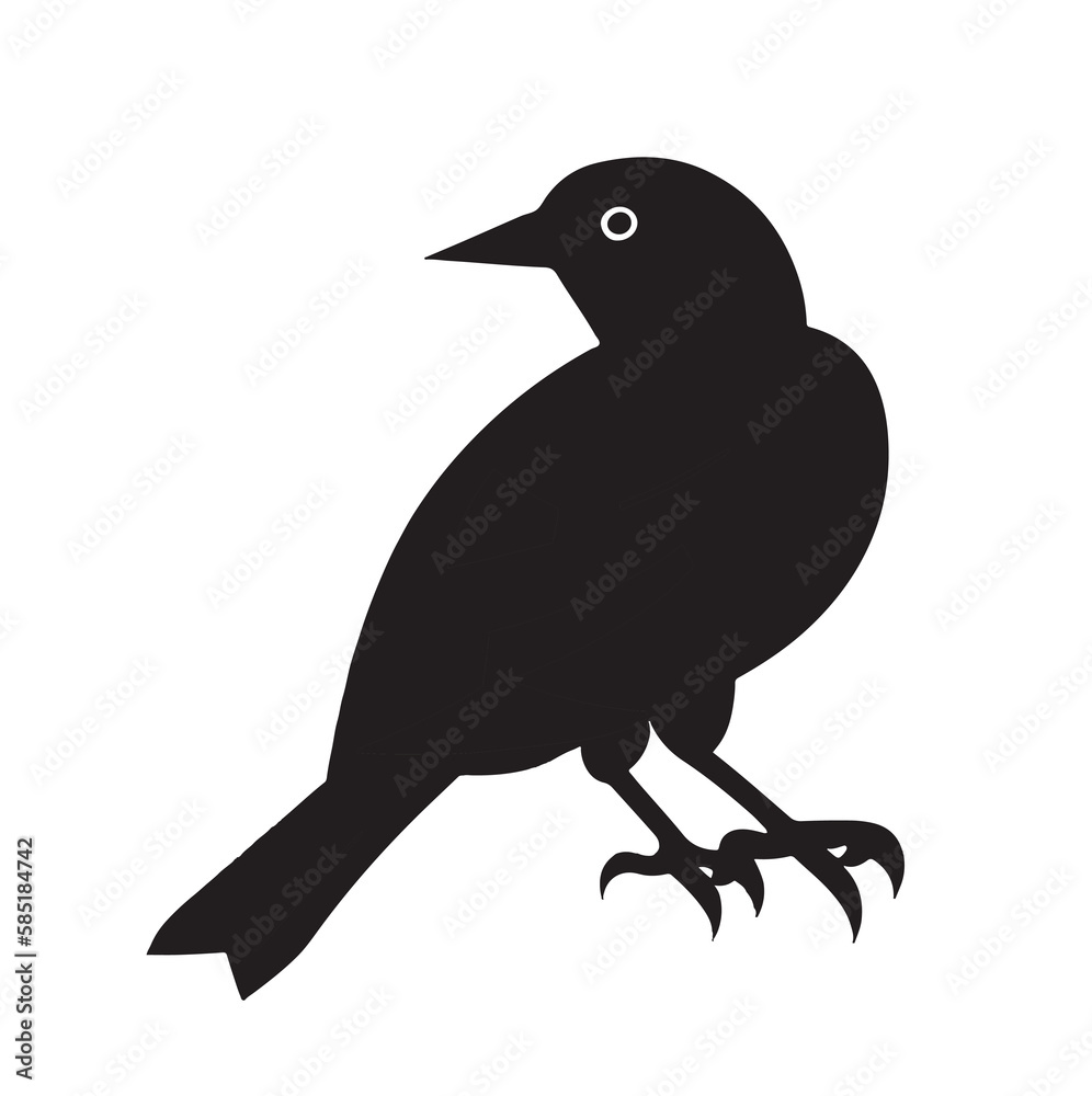 Fototapeta premium bird on a branch