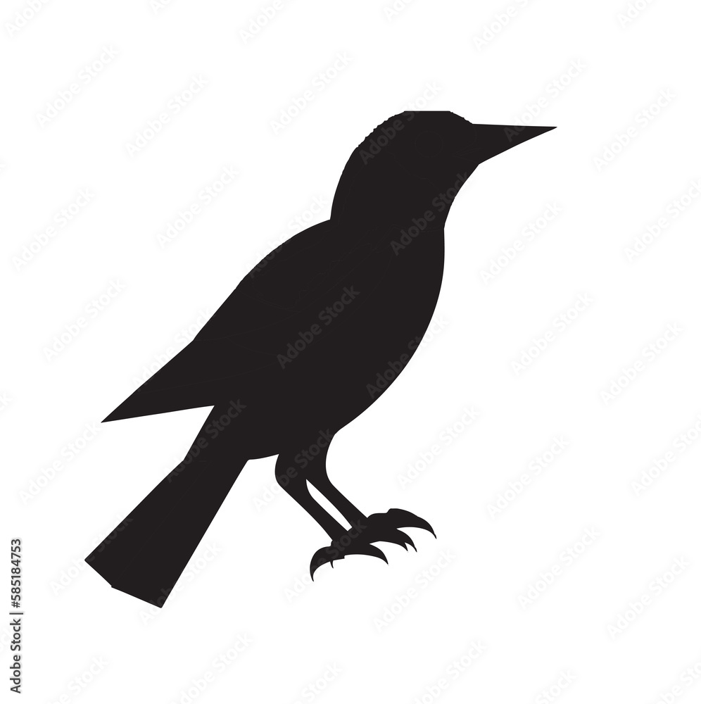 Fototapeta premium crow