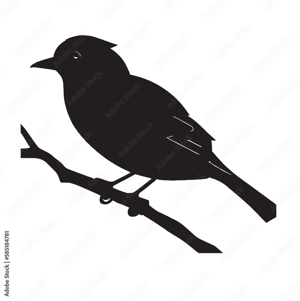 Obraz premium crow on a branch
