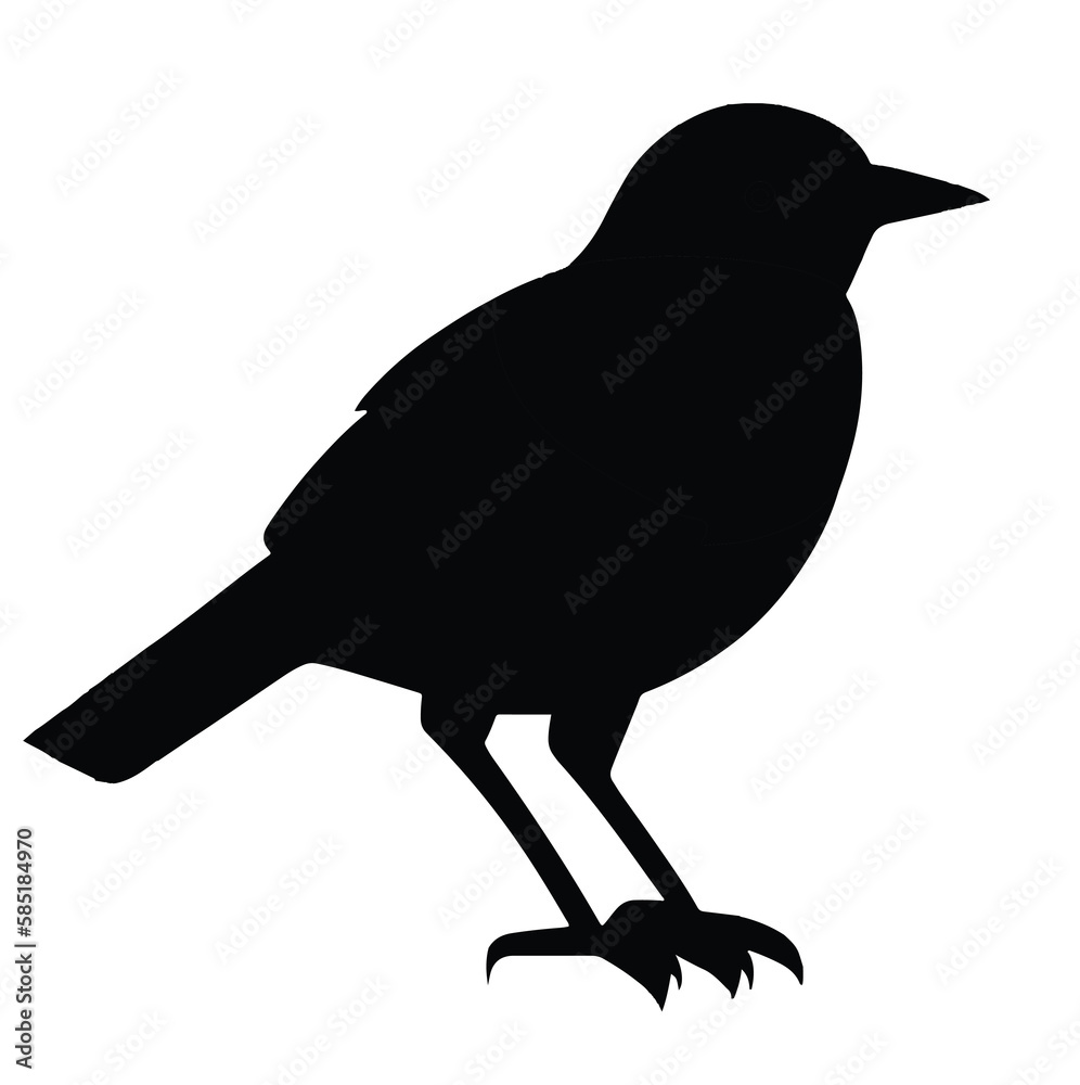 Fototapeta premium crow on a white background