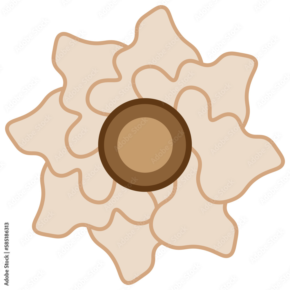 Brown flower icon. Vector illustration. Brown flower icon. Vector illustration.