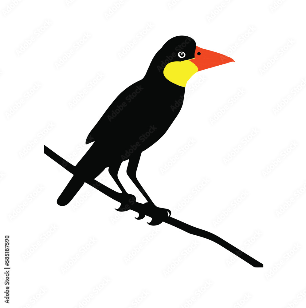 Fototapeta premium toucan on a branch