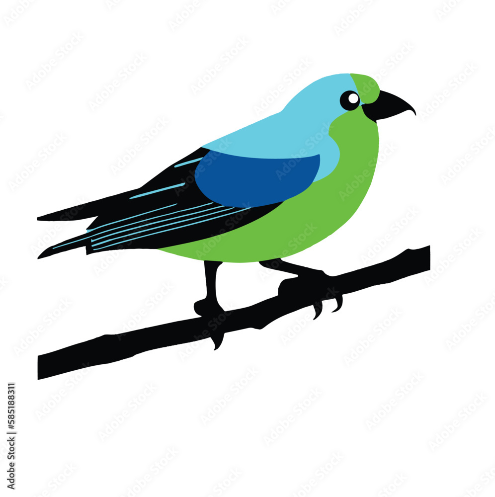 bird on a branch bird on a branch