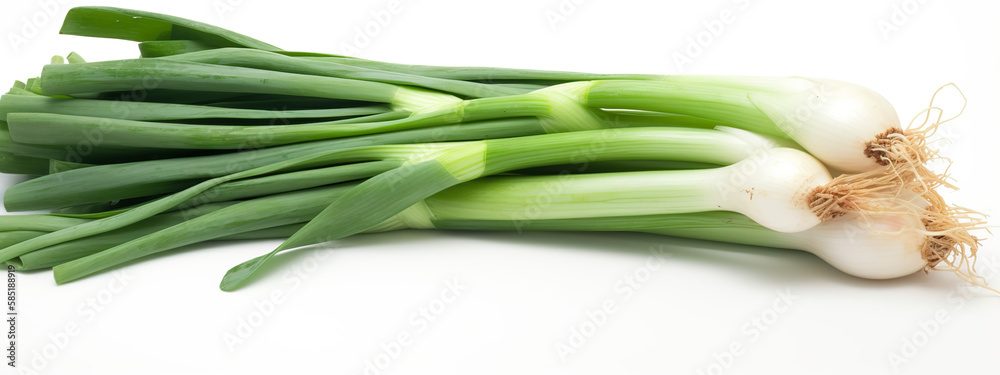 onion, green, vegetable, food, fresh, isolated, healthy, organic, spring, white, ingredient, raw, bunch, vegetarian, closeup, plant, salad, diet, freshness, leaf, beans, herb, natural, nutrition, agri onion, green, vegetable, food, fresh, isolated, healthy, organic, spring, white, ingredient, raw, bunch, vegetarian, closeup, plant, salad, diet, freshness, leaf, beans, herb, natural, nutrition, agri