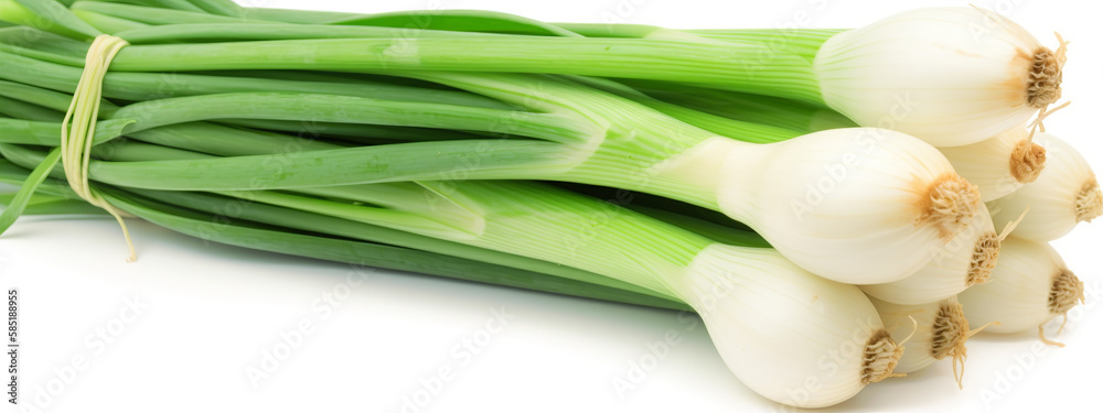 onion, green, vegetable, food, fresh, isolated, healthy, organic, spring, white, ingredient, raw, bunch, vegetarian, closeup, plant, salad, diet, freshness, leaf, beans, herb, natural, nutrition, agri onion, green, vegetable, food, fresh, isolated, healthy, organic, spring, white, ingredient, raw, bunch, vegetarian, closeup, plant, salad, diet, freshness, leaf, beans, herb, natural, nutrition, agri