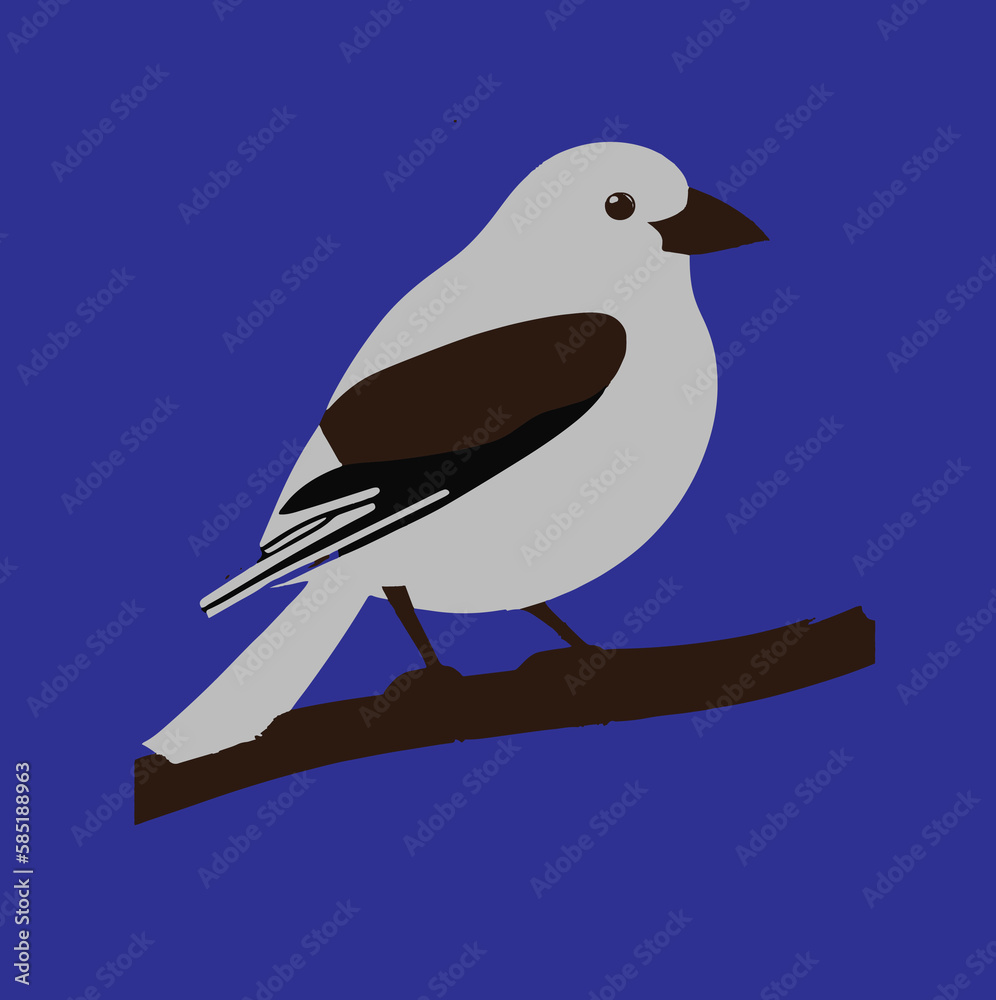 Obraz premium bird on a branch