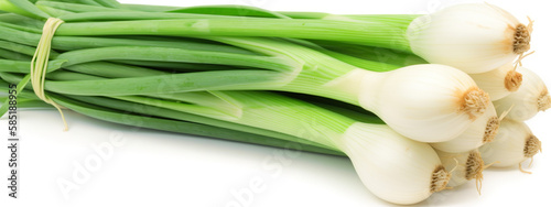 onion  green  vegetable  food  fresh  isolated  healthy  organic  spring  white  ingredient  raw  bunch  vegetarian  closeup  plant  salad  diet  freshness  leaf  beans  herb  natural  nutrition  agri