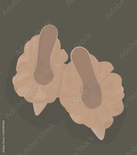 Vector flat image of women's spring-autumn shoes. Pink mules with a large ruffle. Design for cards, backgrounds, templates, banners, textiles, posters.