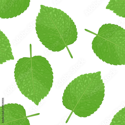 Green melissa leaf seamless pattern. Botanical background. Vector cartoon illustration of culinary herb.
