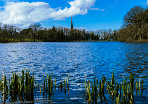 Hillsborough Forest Park, Royal Hillsborough, County Down, Northern Ireland photo