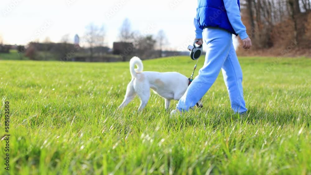 girl walks with a beautiful white dog on a green lawn.from left to right girl walks with a beautiful white dog on a green lawn.from left to right
