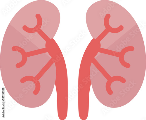 kidneys  icon