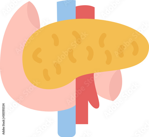 pancreas  icon